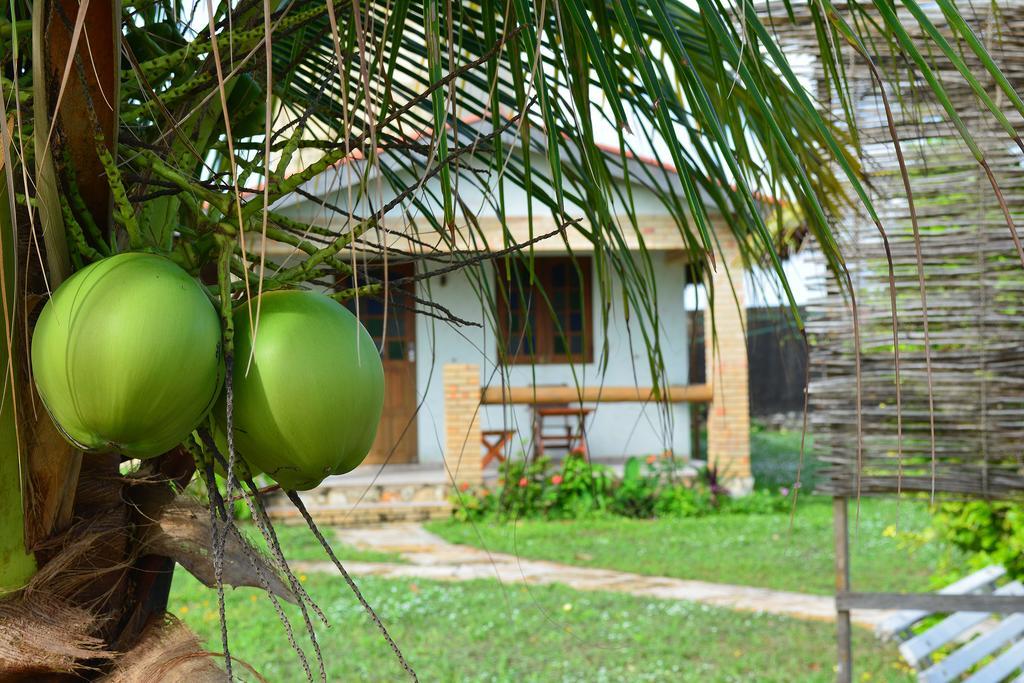 Pousada Oceania Taiba Bagian luar foto